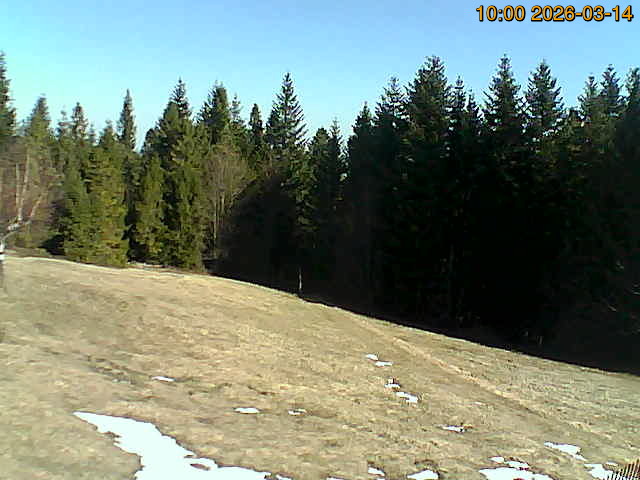 Kamerka północna Obraz z kamerki północnej