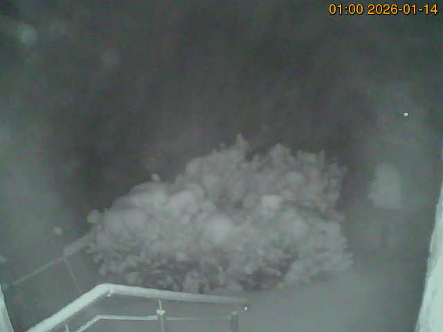 South camera Image from the south-facing camera