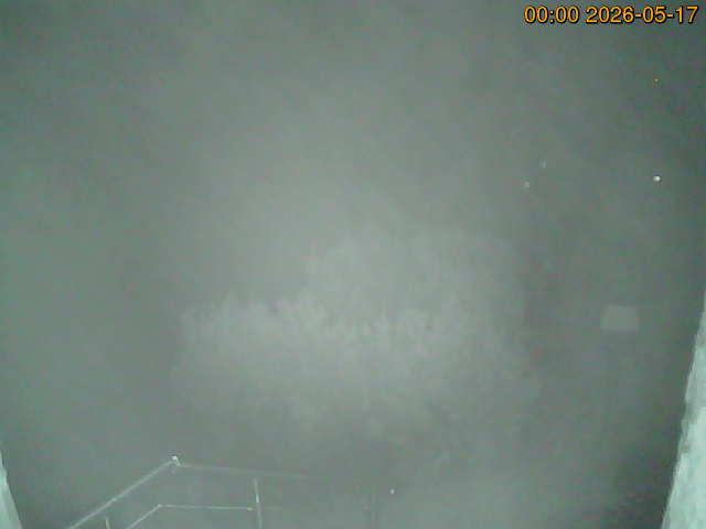 South camera Image from the south-facing camera