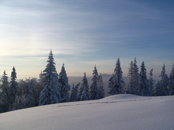 View to the west