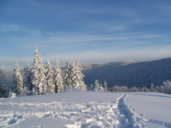 Turbacz in winter