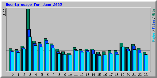 Hourly usage for June 2025