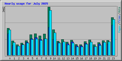 Hourly usage for July 2025
