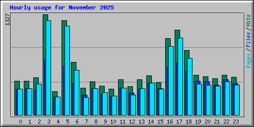 Hourly usage for November 2025