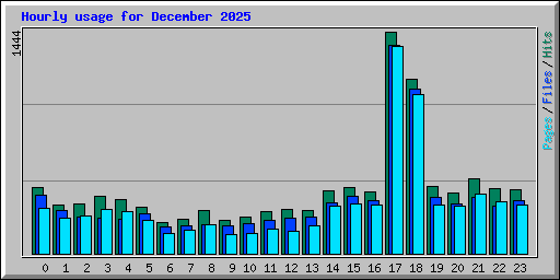 Hourly usage for December 2025