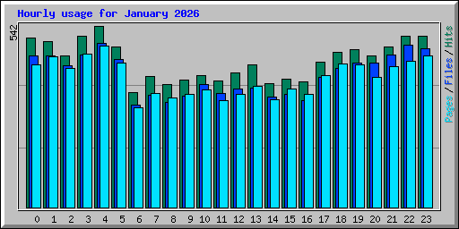 Hourly usage for January 2026