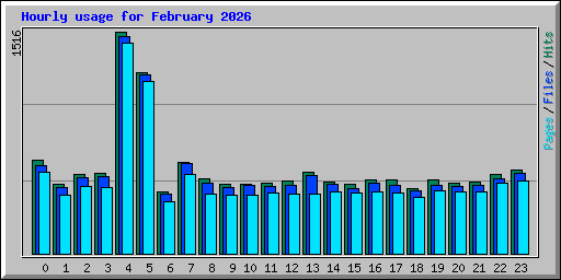 Hourly usage for February 2026