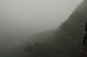 IMG_8244_1