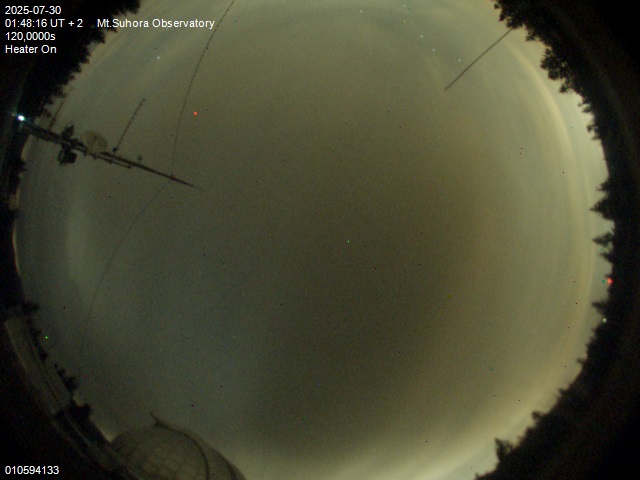 Image downloaded on 2025-07-30 at 01:51:15 local time.