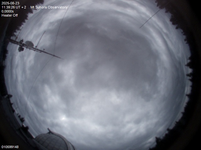 Image downloaded on 2025-08-23 at 11:40:24 local time.