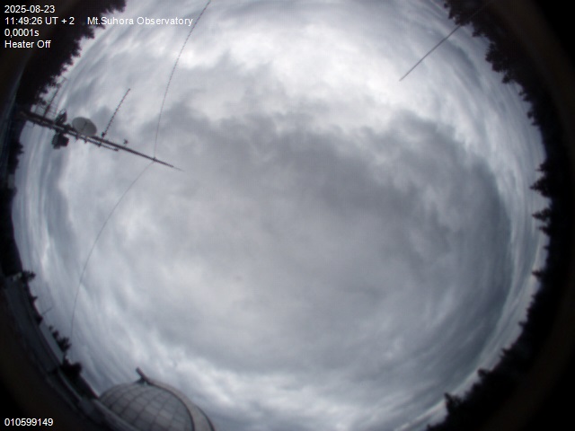 Image downloaded on 2025-08-23 at 11:50:24 local time.