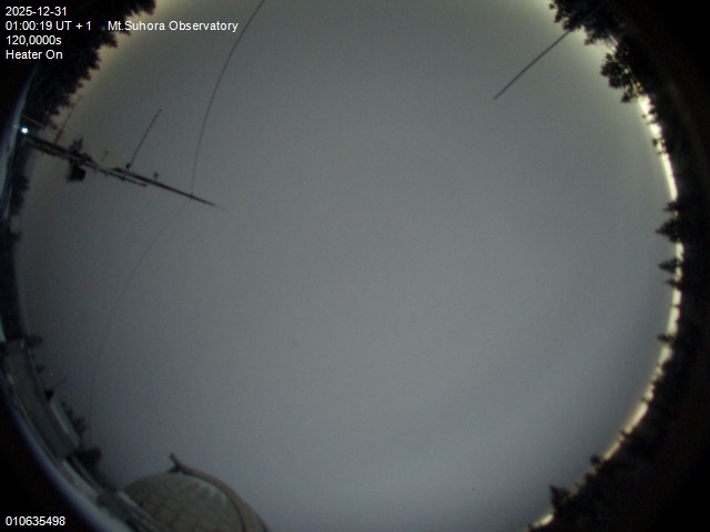 Image downloaded on 2025-12-31 at 01:03:18 local time.