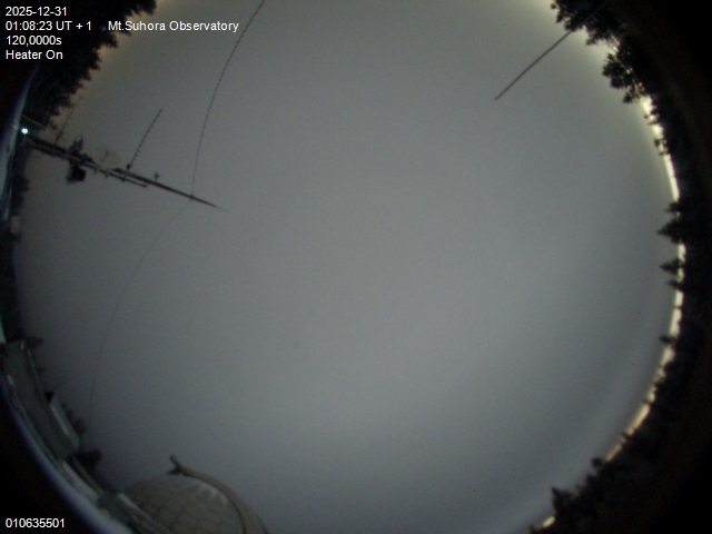 Image downloaded on 2025-12-31 at 01:11:22 local time.