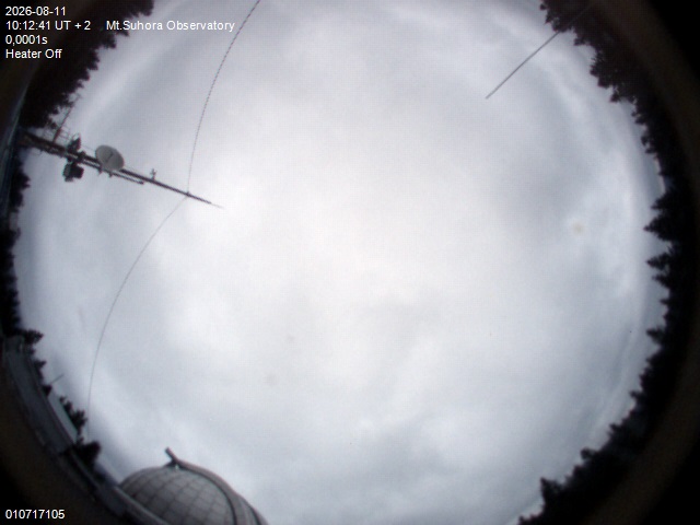 Image downloaded on 2026-08-11 at 10:13:39 local time.