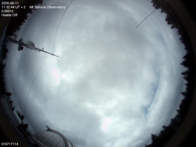 Image downloaded on 2026-08-11 at 11:33:42 local time.
