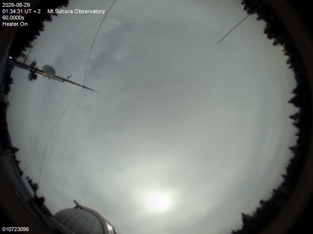 Image downloaded on 2026-08-29 at 01:36:30 local time.