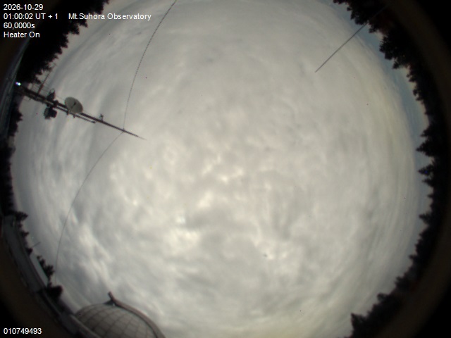 Image downloaded on 2026-10-29 at 01:02:01 local time.