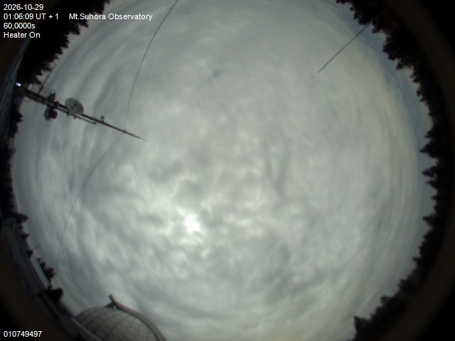 Image downloaded on 2026-10-29 at 01:08:08 local time.