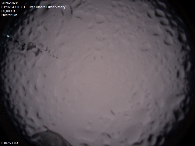 Image downloaded on 2026-10-31 at 01:18:53 local time.