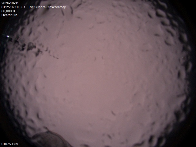 Image downloaded on 2026-10-31 at 01:27:01 local time.
