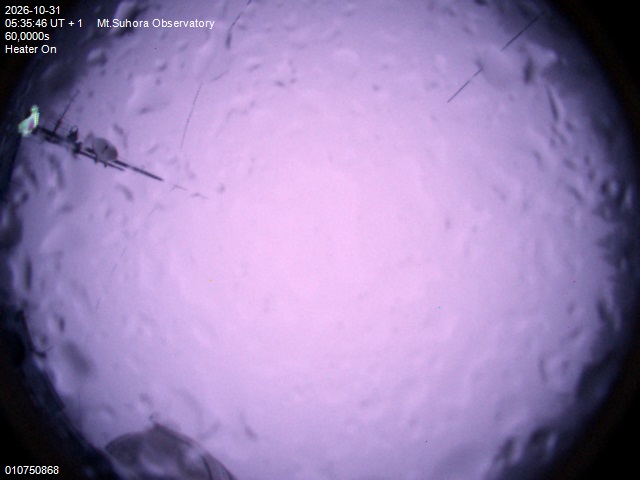 Image downloaded on 2026-10-31 at 05:37:45 local time.