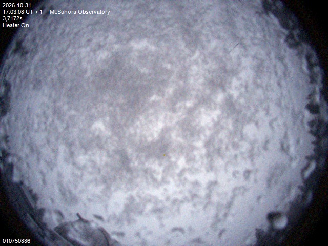 Image downloaded on 2026-10-31 at 17:04:10 local time.