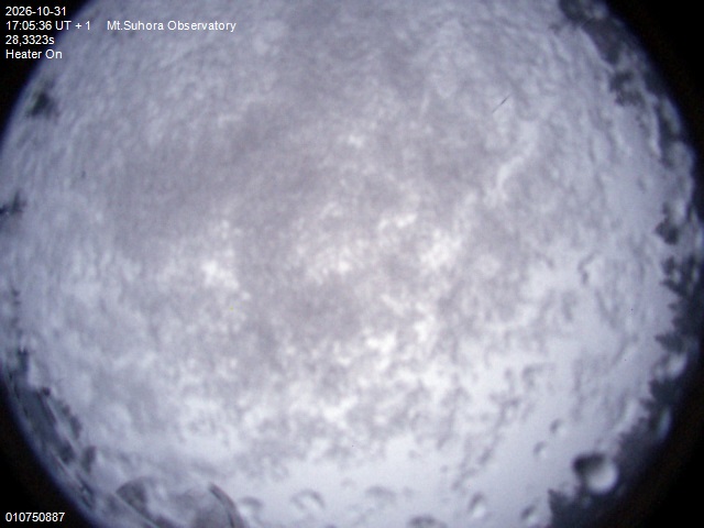 Image downloaded on 2026-10-31 at 17:07:03 local time.