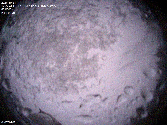 Image downloaded on 2026-10-31 at 17:29:40 local time.