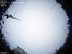 Allsky