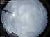 Allsky