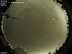Allsky
