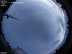 Allsky