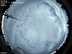 Allsky