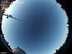 Allsky