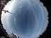 Allsky