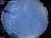 All-sky camera Image from the all-sky camera