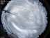 All-sky camera Image from the all-sky camera
