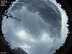 Allsky