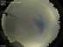 Allsky