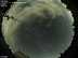 Allsky