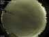 Allsky