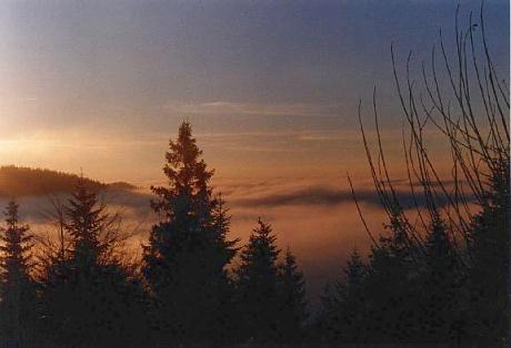 Photo: View to the south-west