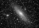 M31