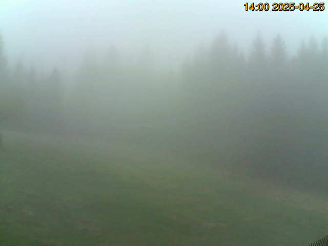 North camera Image from the north-facing camera