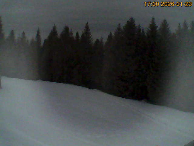 North camera Image from the north-facing camera