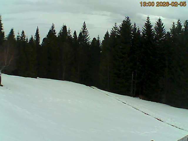 Kamerka północna Obraz z kamerki północnej