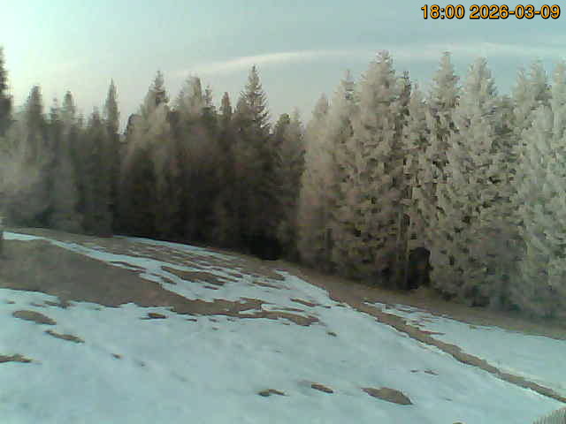 North camera Image from the north-facing camera