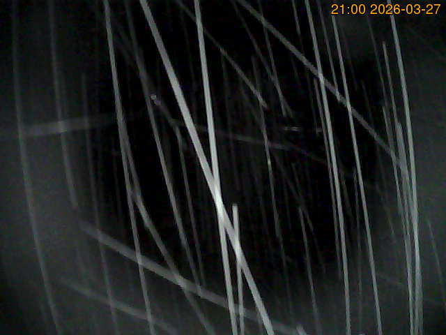 Kamerka północna Obraz z kamerki północnej