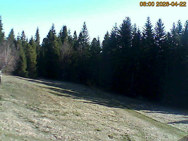 North camera Image from the north-facing camera
