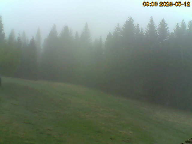 North camera Image from the north-facing camera